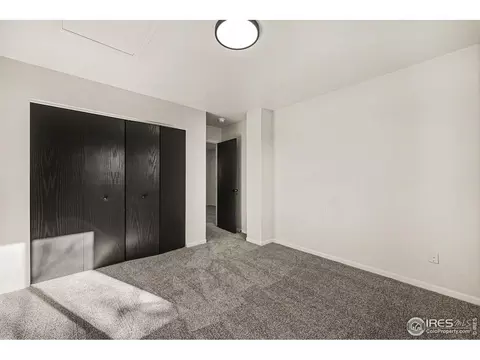 Other - 147 Crabapple Dr, Windsor, CO 80550 photo 4 of 8