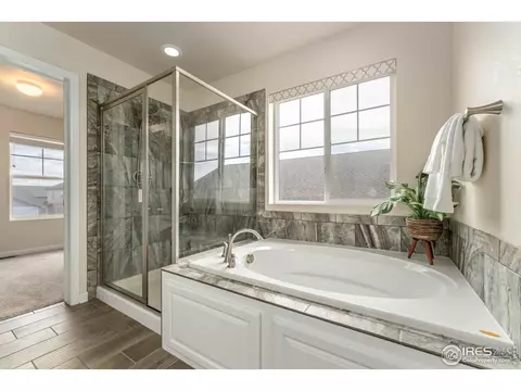 Bath - 3408 Eagle Butte Ave, Frederick, CO 80516 photo 3 of 4