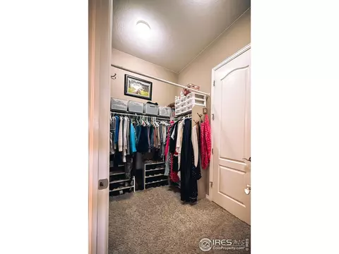 Other - 2083 Vineyard Dr, Windsor, CO 80550 photo 6 of 15