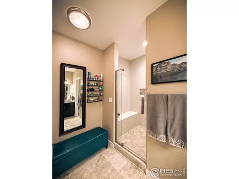 Bath - 2083 Vineyard Dr, Windsor, CO 80550 photo 8 of 8
