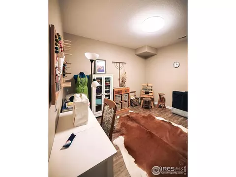 Other - 2083 Vineyard Dr, Windsor, CO 80550 photo 11 of 15