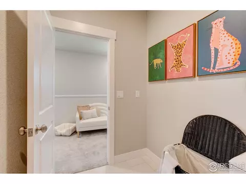6784 Maple Leaf Dr, Timnath, CO 80547 photo 25