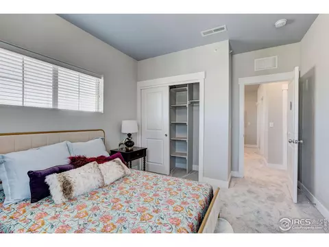 6784 Maple Leaf Dr, Timnath, CO 80547 photo 21
