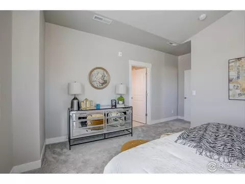 6784 Maple Leaf Dr, Timnath, CO 80547 photo 14