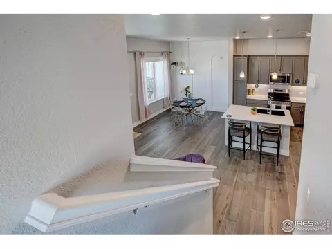 6784 Maple Leaf Dr, Timnath, CO 80547 photo 12