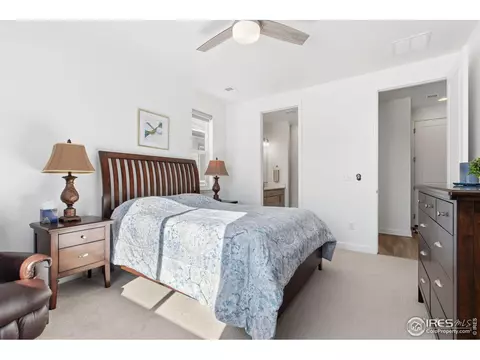 Bedroom - 1819 Paley Dr, Windsor, CO 80550 photo 3 of 3