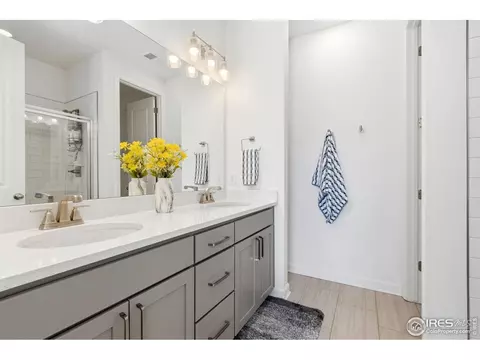 Bath - 1819 Paley Dr, Windsor, CO 80550 photo 2 of 2