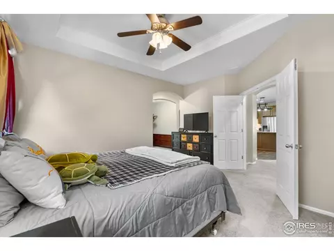 Bedroom - 5865 Quarry St, Timnath, CO 80547 photo 4 of 8