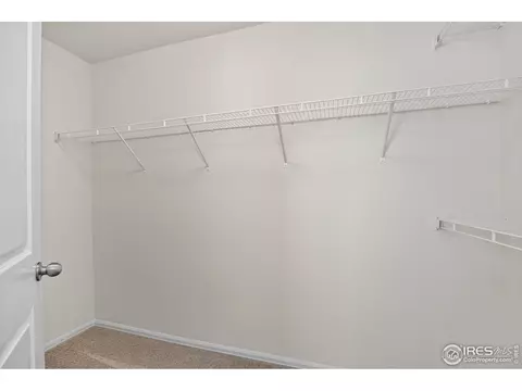 Other - 825 Sambar Dr, Severance, CO 80550 photo 3 of 7