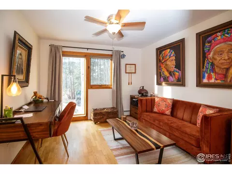 172 Thorn Cir, Black Hawk, CO 80422 photo 3