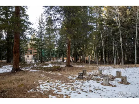 172 Thorn Cir, Black Hawk, CO 80422 photo 25