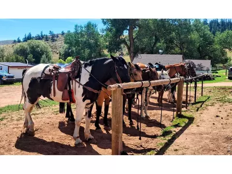 609 Eiger Rd, Livermore, CO 80536 photo 10
