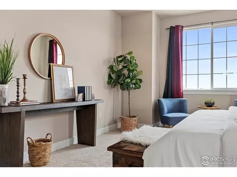 278 Mt Harvard Ave, Windsor, CO 80550 photo 23
