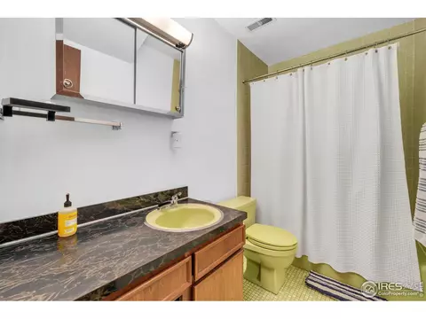 Bath - 1690 Wilson Ct, Boulder, CO 80304 photo 4 of 4