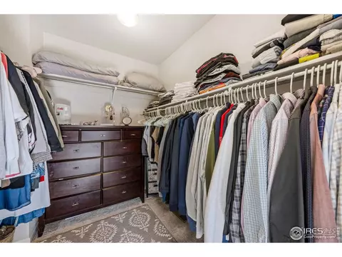 Other - 5247 Alberta Falls St, Timnath, CO 80547 photo 1 of 6