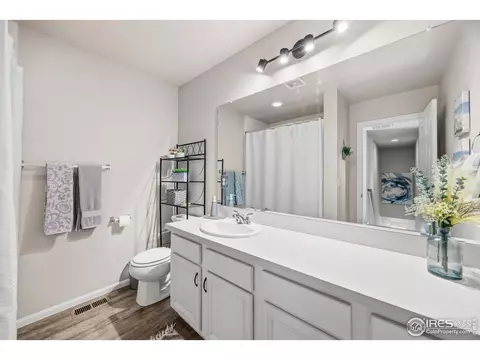 Bath - 5247 Alberta Falls St, Timnath, CO 80547 photo 3 of 3