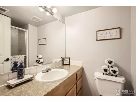 Bath - 189 Kitty Hawk Ct, Windsor, CO 80550 photo 5 of 5