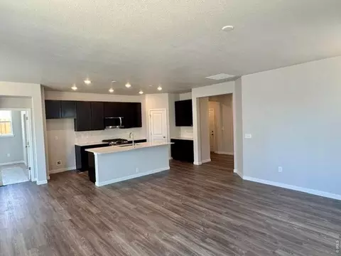 827 Mesic Ln, Windsor, CO 80550 photo 10