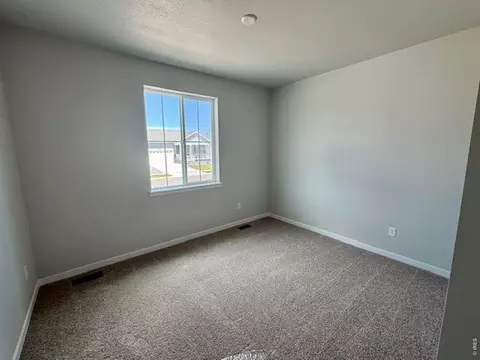 827 Mesic Ln, Windsor, CO 80550 photo 5