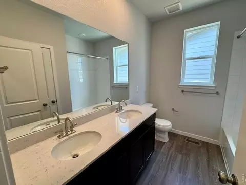 827 Mesic Ln, Windsor, CO 80550 photo 4