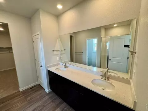 827 Mesic Ln, Windsor, CO 80550 photo 12