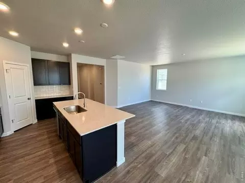827 Mesic Ln, Windsor, CO 80550 photo 14