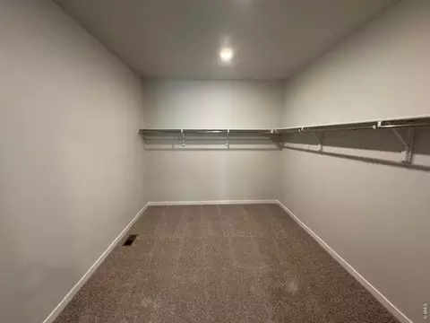 827 Mesic Ln, Windsor, CO 80550 photo 13