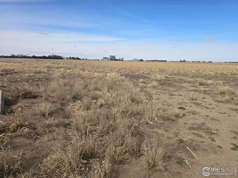 9482 Highway 52, Wiggins, CO 80654 photo 3