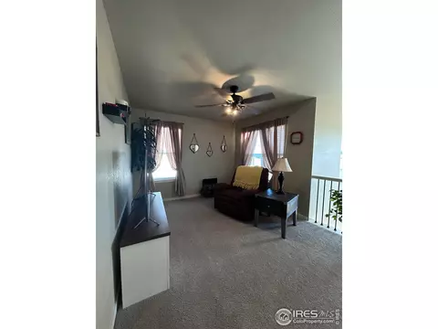 Other - 1202 Coyote Ln, Wiggins, CO 80654 photo 3 of 8