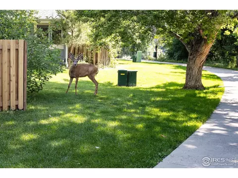 Other - 1180 Monroe Dr #B, Boulder, CO 80303 photo 4 of 5