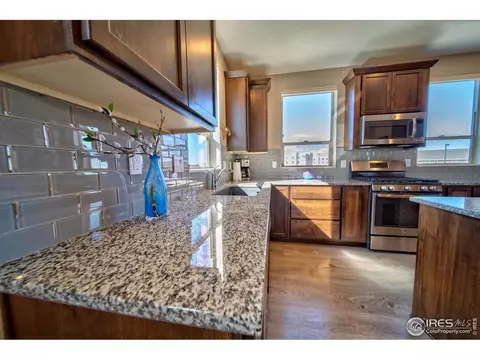 4931 Valentia St, Denver, CO 80238 photo 8
