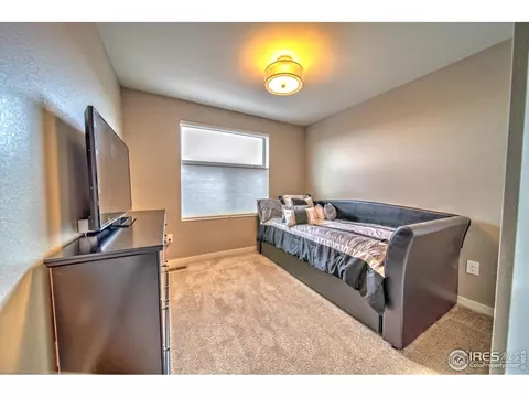 4931 Valentia St, Denver, CO 80238 photo 24