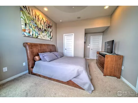 4931 Valentia St, Denver, CO 80238 photo 28