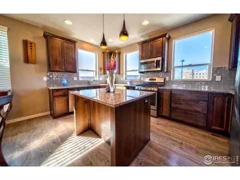 4931 Valentia St, Denver, CO 80238 photo 7