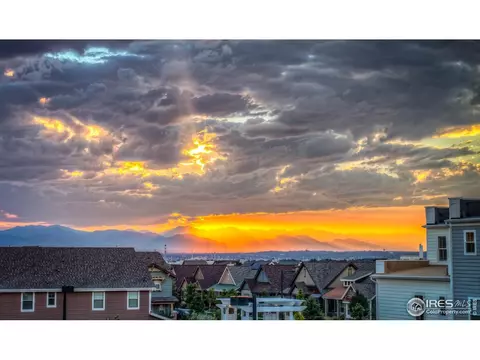 4931 Valentia St, Denver, CO 80238 photo 35
