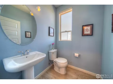 4931 Valentia St, Denver, CO 80238 photo 10