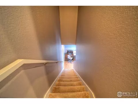 4931 Valentia St, Denver, CO 80238 photo 22