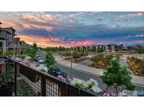 4931 Valentia St, Denver, CO 80238 photo 19