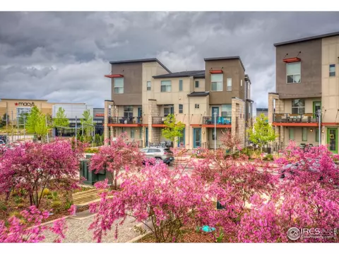4931 Valentia St, Denver, CO 80238 photo 41
