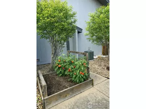 4222 Monroe Dr #C, Boulder, CO 80303 photo 3