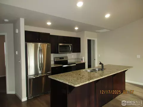 4332 Yellowbells Dr, Evans, CO 80620 photo 5