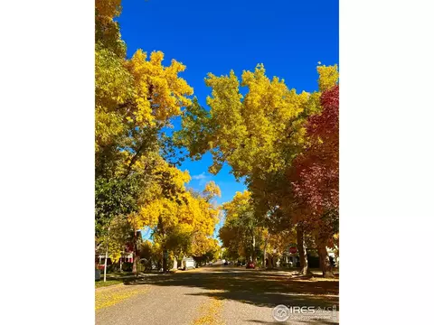 Exterior - 927 5th St, Berthoud, CO 80513 photo 12 of 12