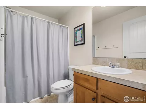 621 Denali Ct, Windsor, CO 80550 photo 14