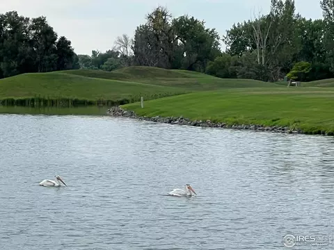 View/Area - 2086 Cape Hatteras Dr, Windsor, CO 80550 photo 9 of 10
