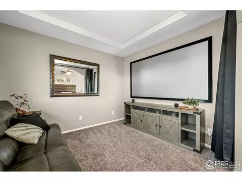 6119 Pryor Rd, Timnath, CO 80547 photo 42
