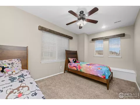 6119 Pryor Rd, Timnath, CO 80547 photo 39