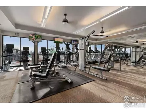 6119 Pryor Rd, Timnath, CO 80547 photo 14
