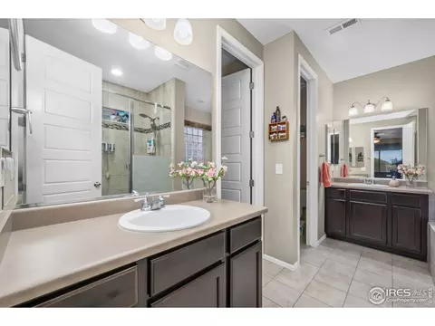 6119 Pryor Rd, Timnath, CO 80547 photo 43