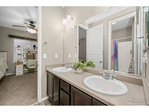 6119 Pryor Rd, Timnath, CO 80547 photo 29