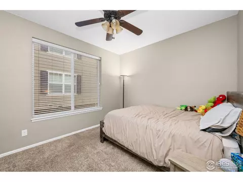 6119 Pryor Rd, Timnath, CO 80547 photo 34
